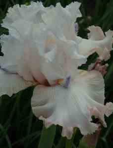 Tom Johnson's subtle but distinctive 'Power Point'