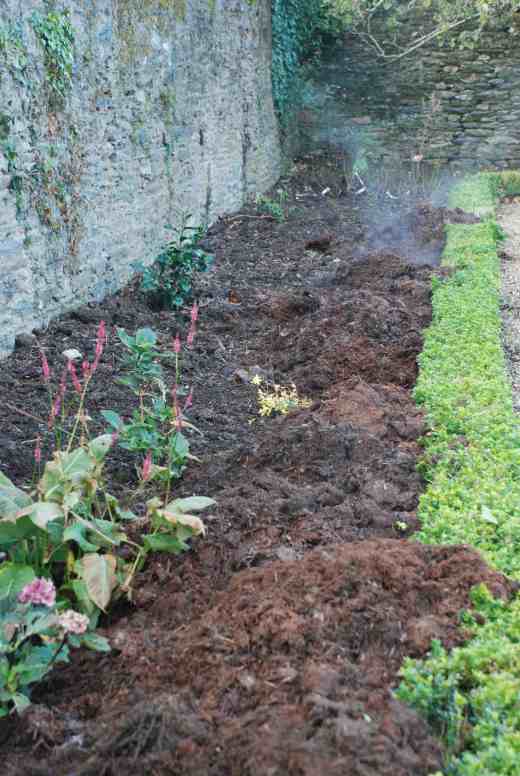 mushroom compost on north wall