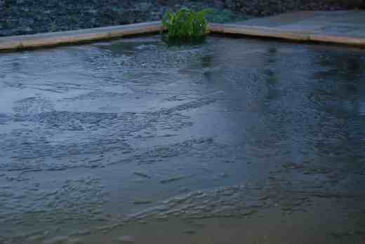 I hope the goldfish are ok under there! (for members of the Carp Protection League, i did make a hole in the ice) Good will to all men including fish