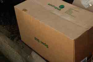 No, nothing to do with Boxing Day