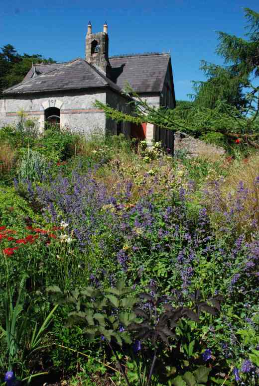june blakes garden July