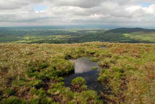 mount leinster slieve bawn 2 carlow2