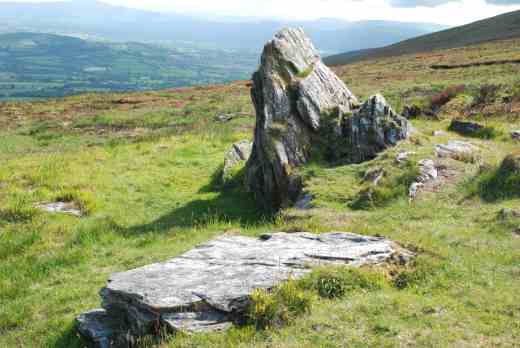 mount leinster slieve bawn