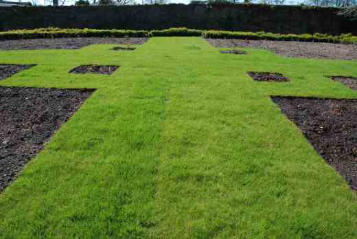 By May the turf was growing well but there was little growth on the roses