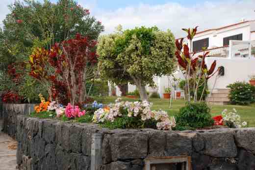 When real plants are so colourful why choose plastic?