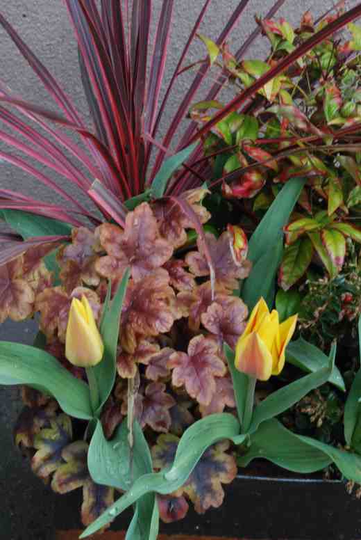 Attractive all winter