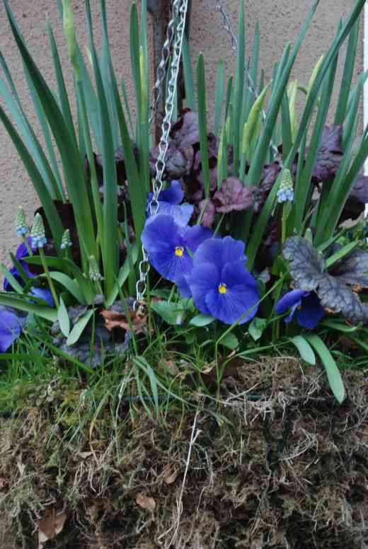 Purple and blue - a safer combination for me