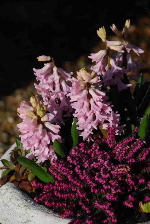 Simple but effective