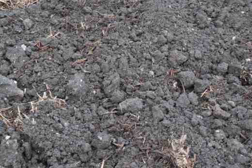 Soil after preparation ready for sowing and planting