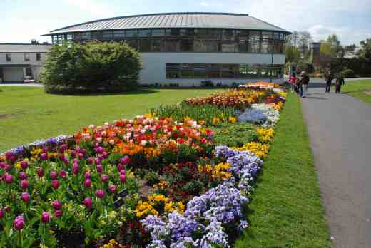 Happily, there were some plants too. Here are some tulips, wallflowers and violas by the entrance