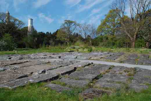 This is a botanic garden so must feature Ireland's native flora including an area that represents the famous Burren in the west (and which I must get to too)