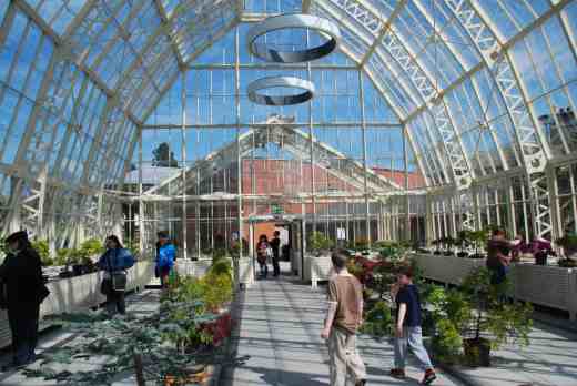 The Conservatory with bonsai