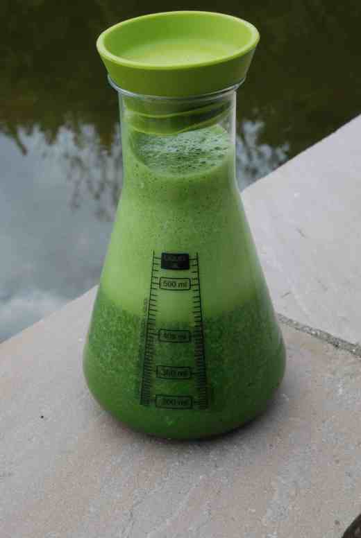 The juice - appropriately photographed by a lake of pondwater