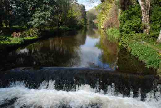 The river Vartry bisects the garden and gives some wonderful views