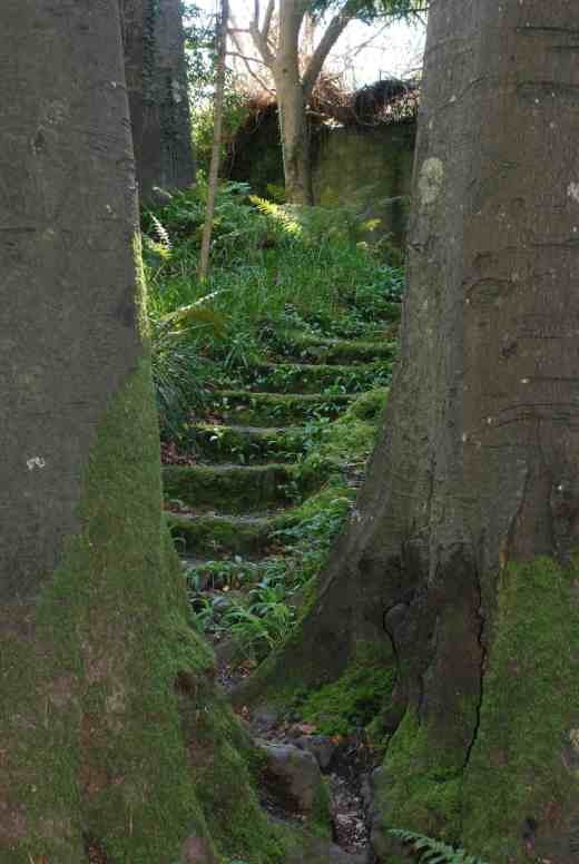 Make sure you explore off the main paths to discover hidden secrets like this path between two trees