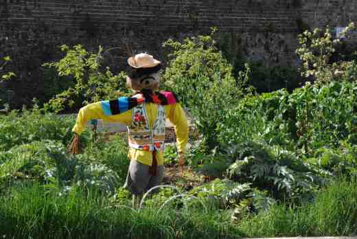 Guarding the Kitchen garden