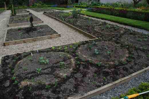 planting circles may