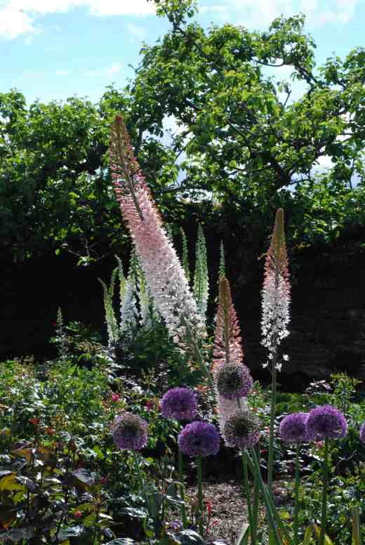 The wind has caused a bit of a lean on some