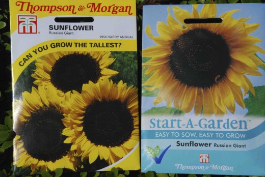 Can you spot the difference?