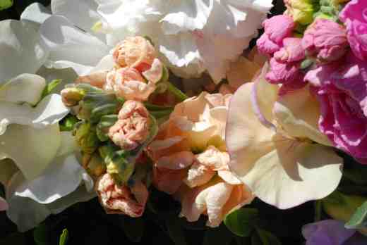 scented bunch june4