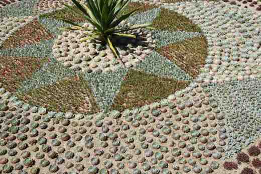 The spectacular carpet bedding