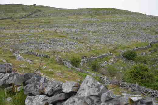 The Burren, near Killinaboy