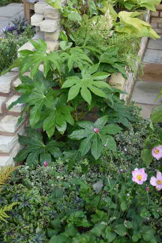 Enchantment Muddy boots for 2queenscourt hospice7 copy