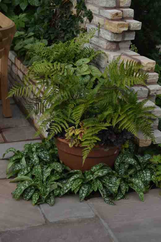 Enchantment Muddy boots for queenscourt hospice6