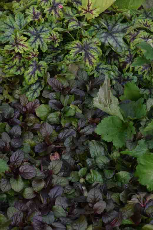 Enchantment Muddy boots for queenscourt hospice8