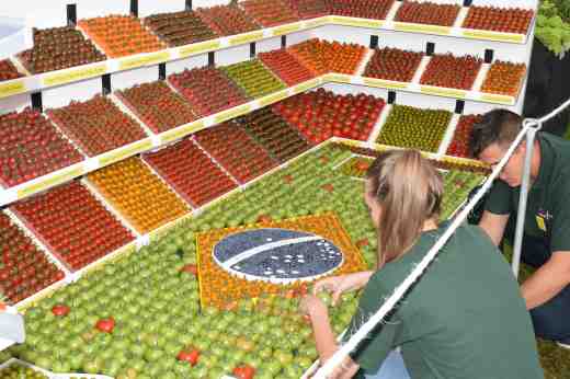 The Flavourfresh stand demonstrated the range of toms they grow. They are local to the show and grow premium toms for supermarkets. The theme for the show was Rio and their stand had an obvious 'World Cup' theme. The green toms kept ripening and had to be amended daily to keep the pitch green. 