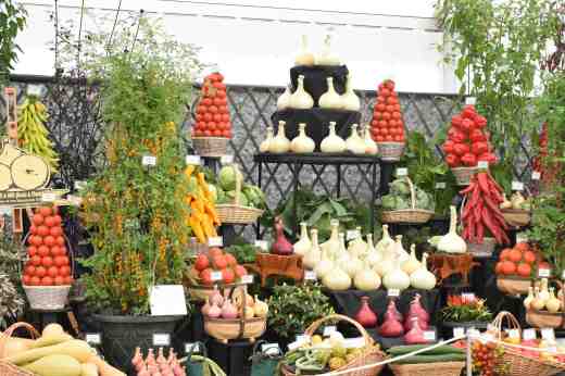 Mammoth (and unusual) veg from Robinsons...