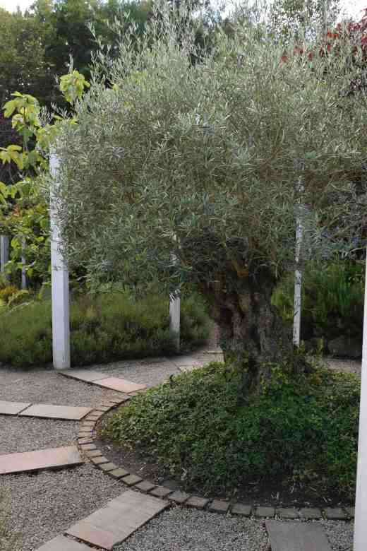 the upright gdn doylescapes