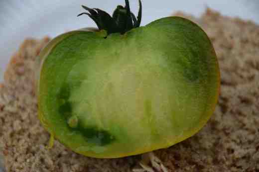 Malakhitovaya Shkatulka 