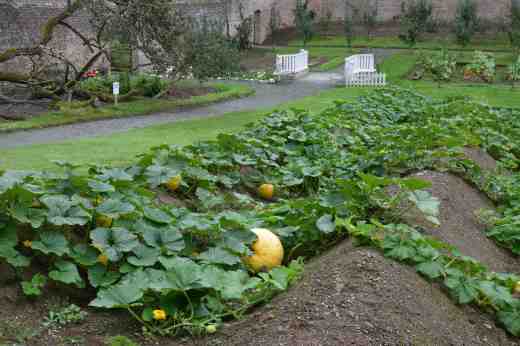 Colclough walled gadn sept 146