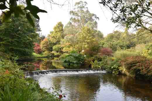 Although it is a bit early for autumn leaf colour there are hints of the changes