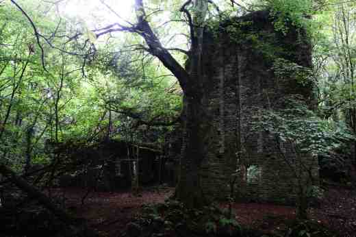 tintern abbey sept1414