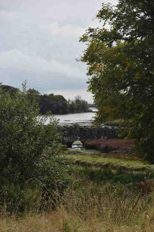 tintern abbey sept144