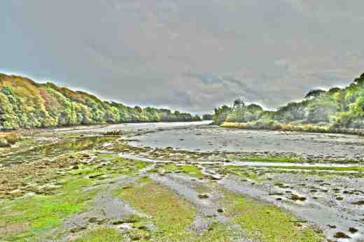 tintern abbey sept147