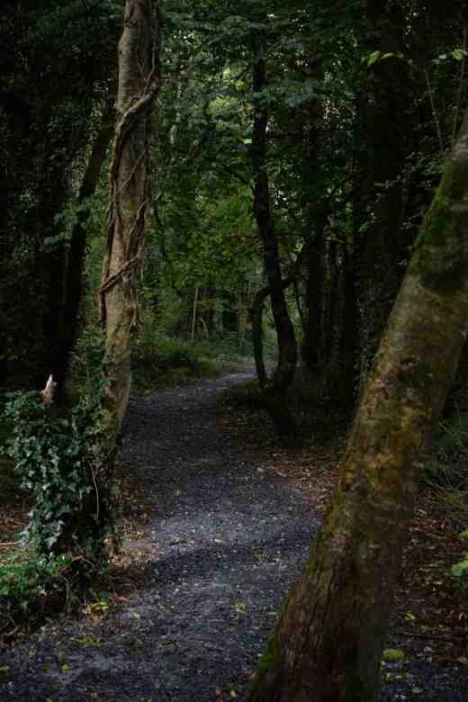 tintern abbey sept149