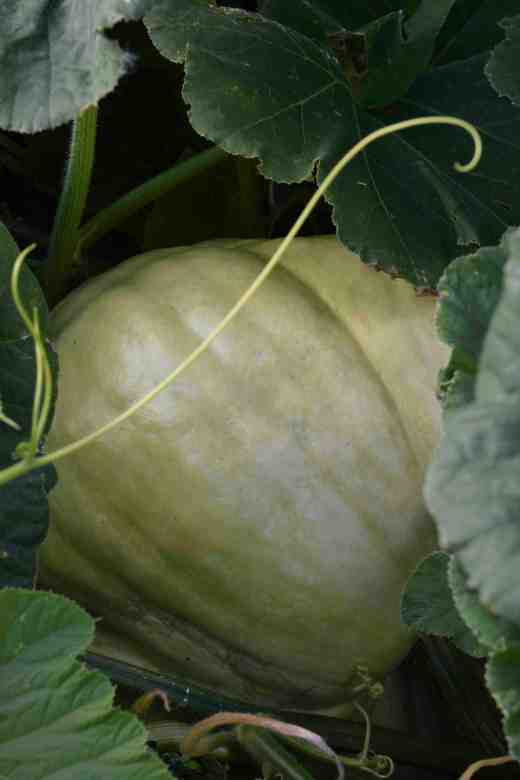 The big one last month