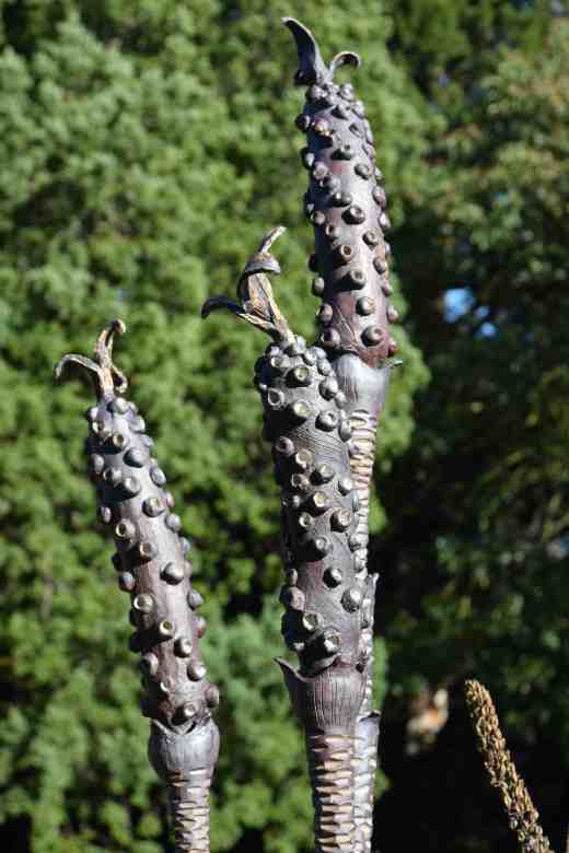 'Bottle Brush' by Clare Green. This showed careful observation of callistemon