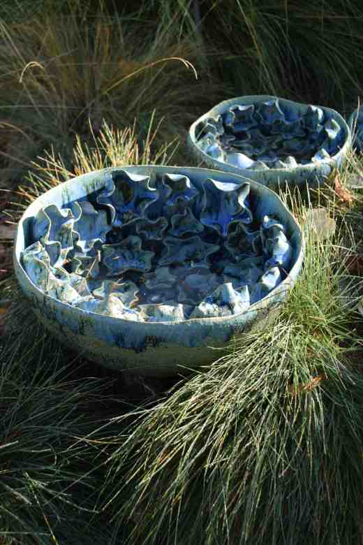 'Fauna or Flora' by Michelle Maher. The series of ceramic bowls did look good among the blue fescues