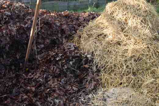 composting 14