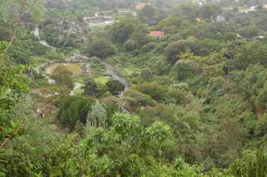 View of the garden from halfway down the cliff