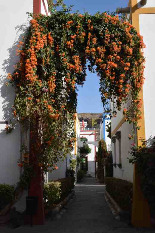The flower-filled streets around the Marina area