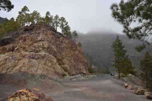 In the mountains in the west of Gran Canarie near Tejeda where most of the wild plants of Dendriopoterium pulidoi grow