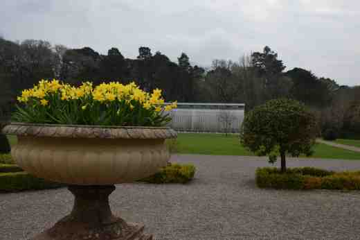 And there were more! Planted in the parterre in the walled garden
