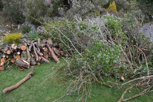 ... at last - I found one!