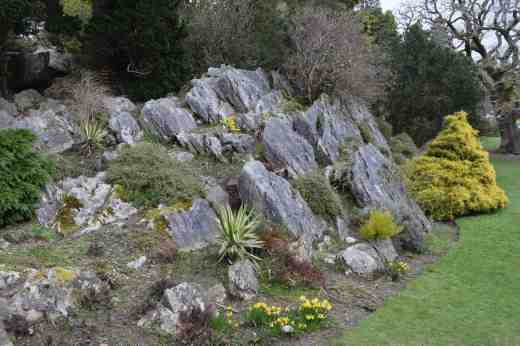 or anywhere on the rock garden...