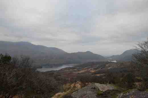 View near Ladies View in Killarney National Park